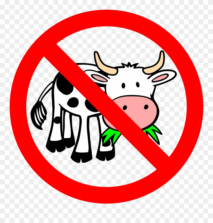 Holstein Friesian Cattle Grazing Eating Drawing Farm - Farm Animal Cow Clipart - Png Download