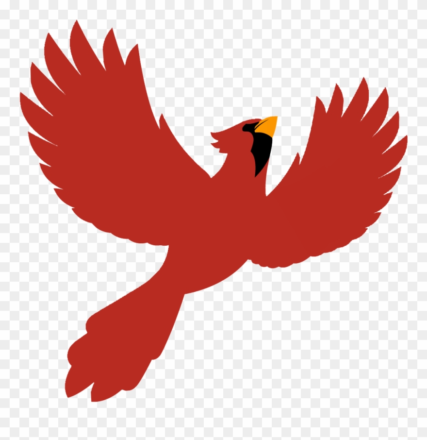 And A Special Thanks To Our - Red-tailed Hawk Clipart