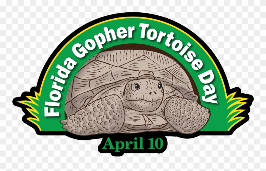 Gopher Tortoise Day - Florida Gopher Tortoise Day Clipart