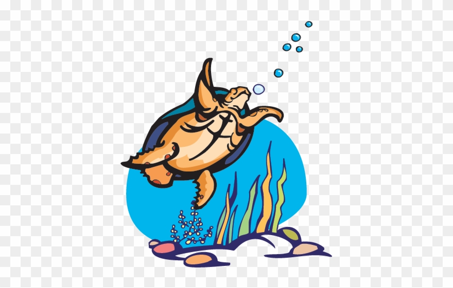 Pbs Has A Full List Of Nature Programs Focused On Endangered - Sea Turtles Rock! Pillow Case Clipart