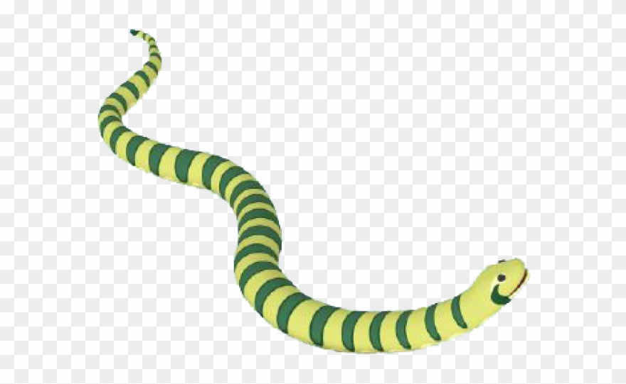 Anaconda Clipart Tail - Anaconda - Png Download