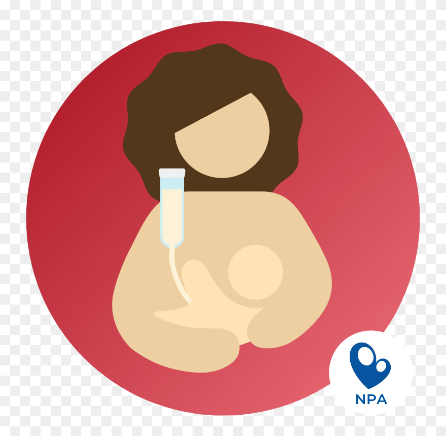 Clip Art - Png Download