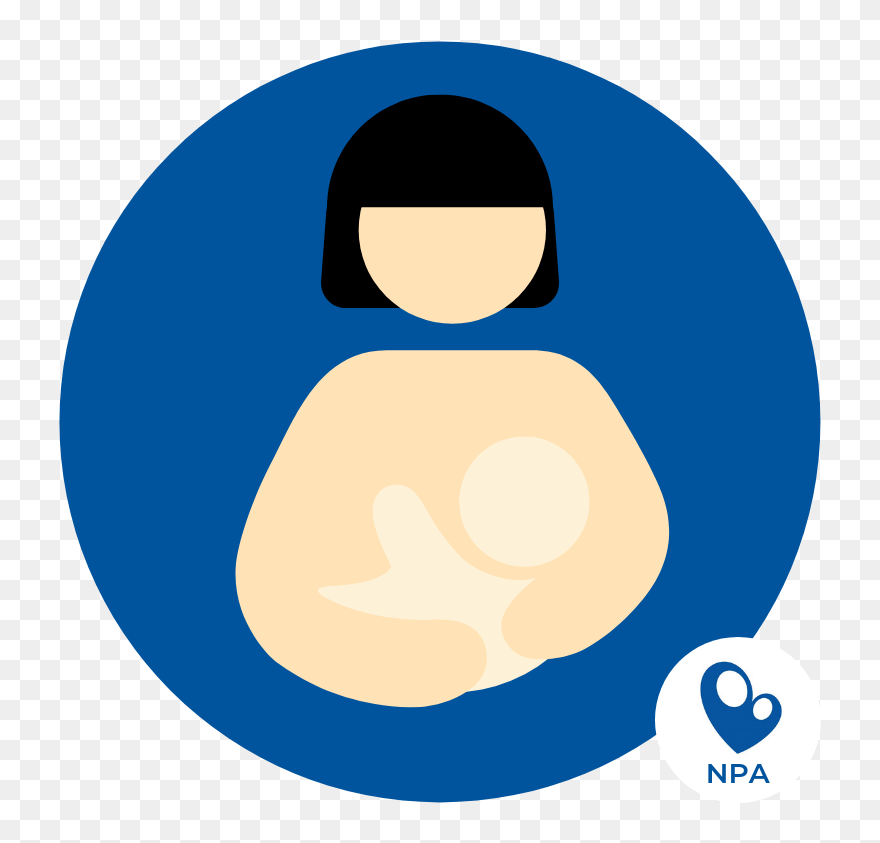 Clip Art - Png Download