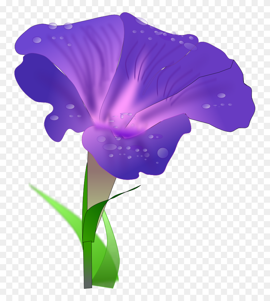 Digital Display With Good Morning Svg Vector File, - Morning Glory Flower Clipart - Png Download