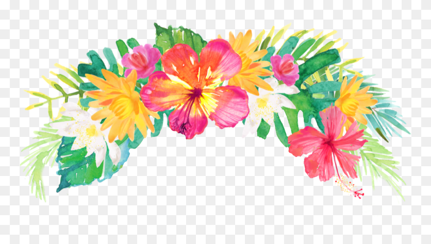 Headband Drawing Floral - Transparent Background Tropical Flowers Png Clipart