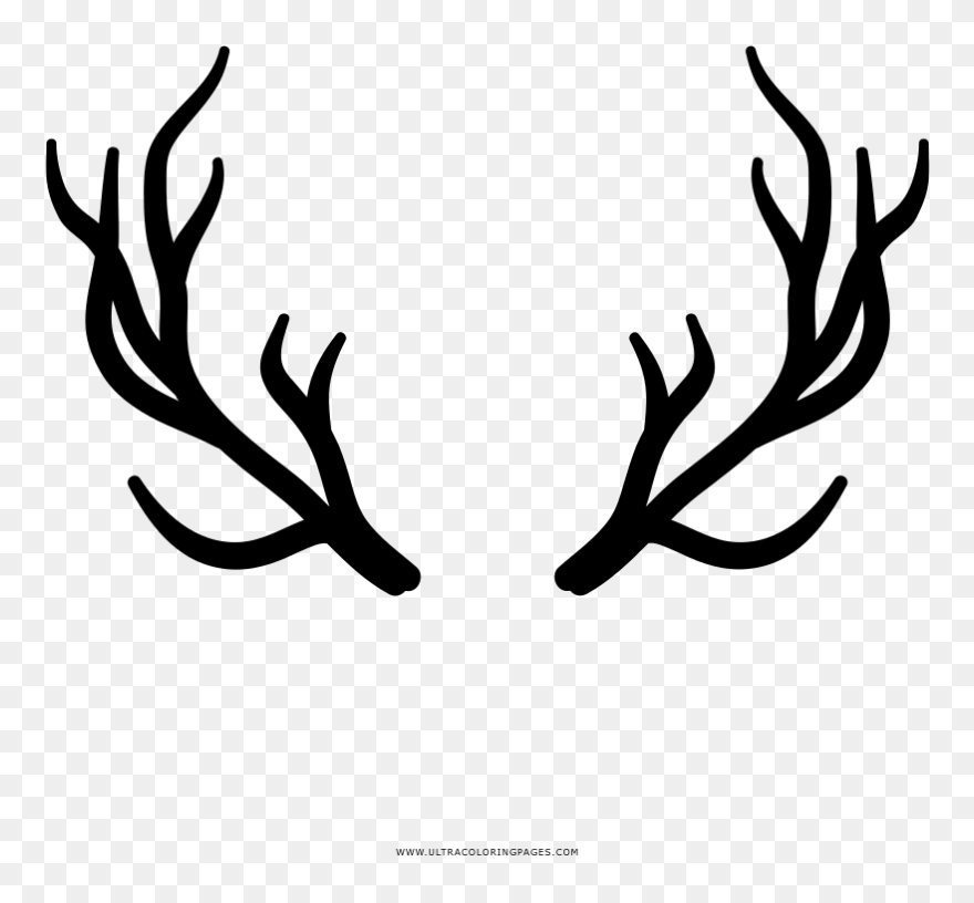 Deer Horns Png Clipart