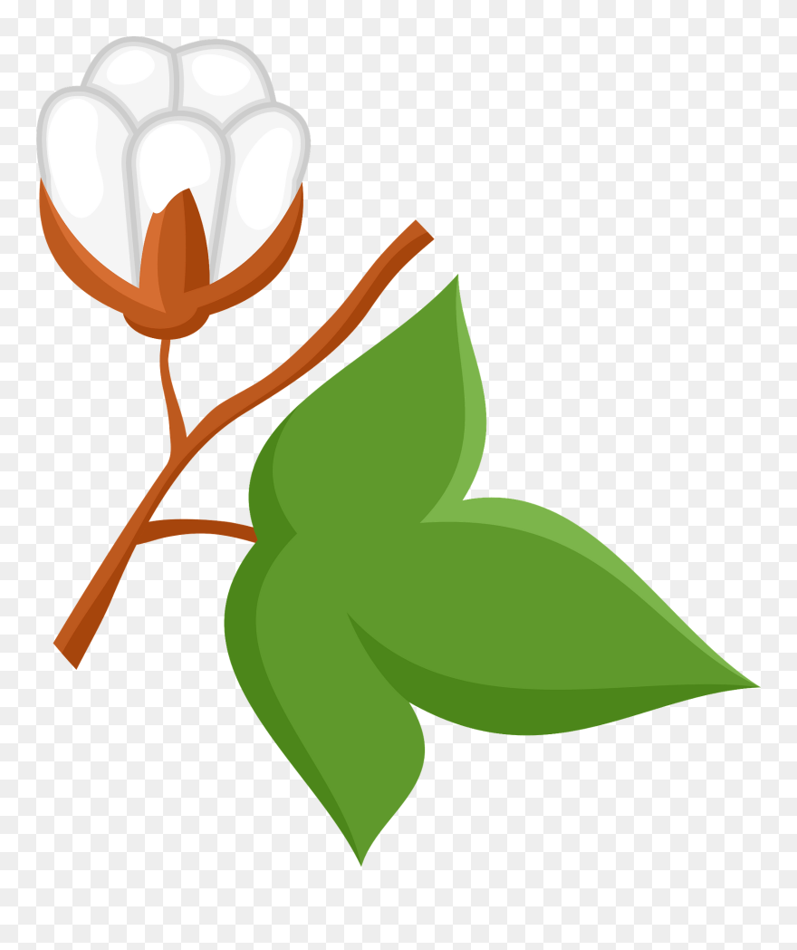 Illustration Clipart