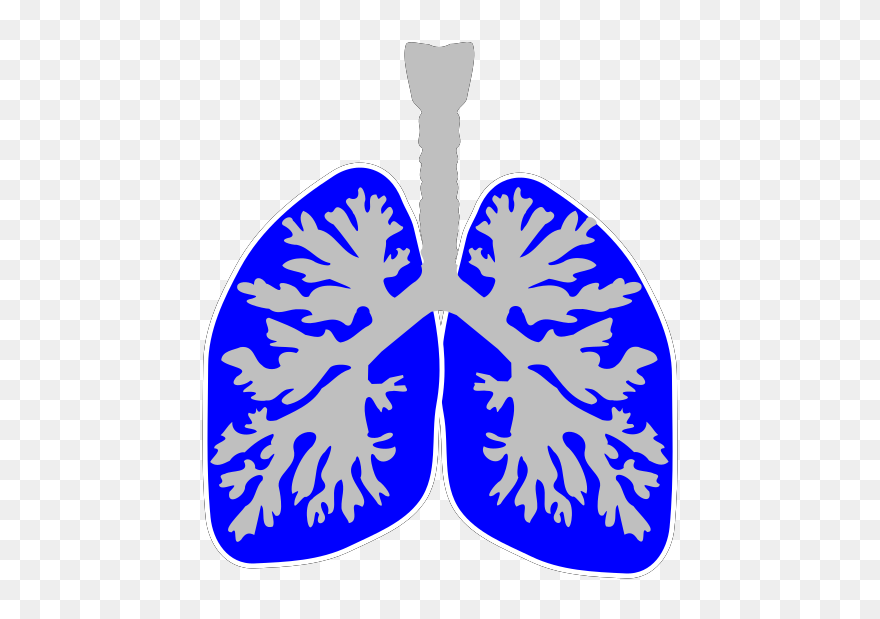 Clip Art - Png Download