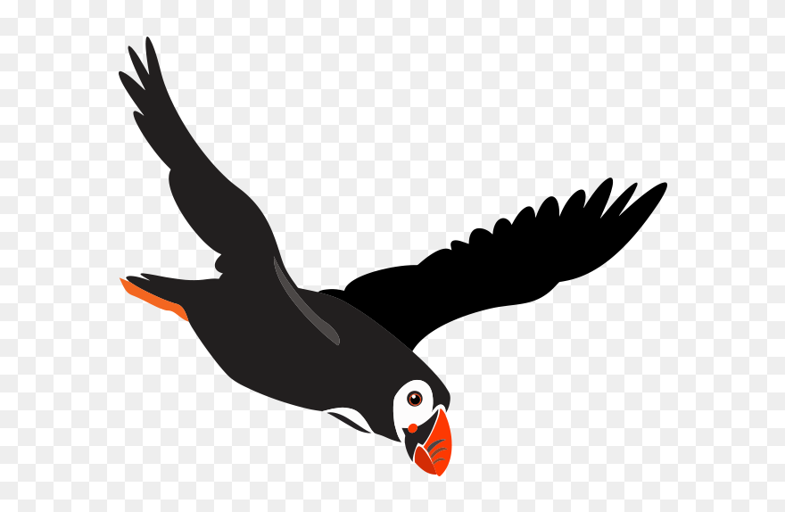 Seabird Clipart