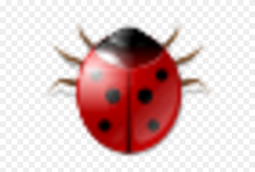 Ladybug Clipart