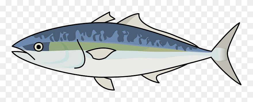 Japanese Amberjack Yellowtail Clipart - イラスト ハマチ - Png Download