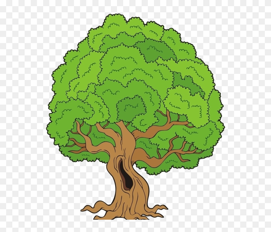Old Big Tree Clipart - Png Download