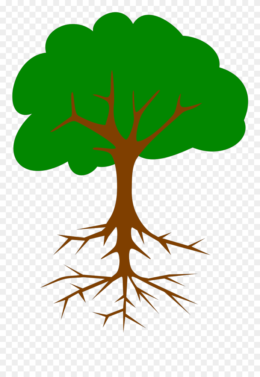 Apple Tree With Roots Clipart