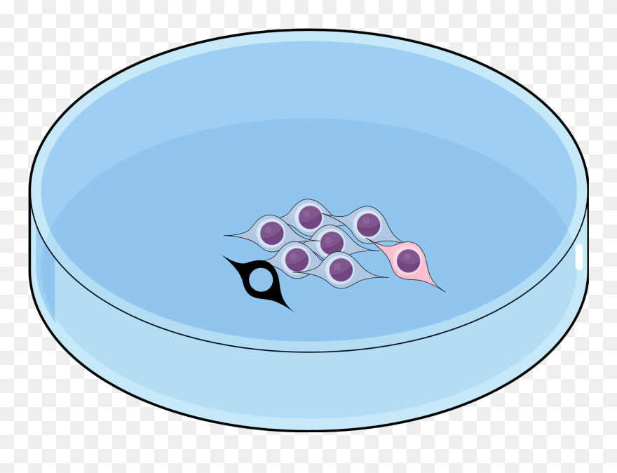 Slide - Circle Clipart