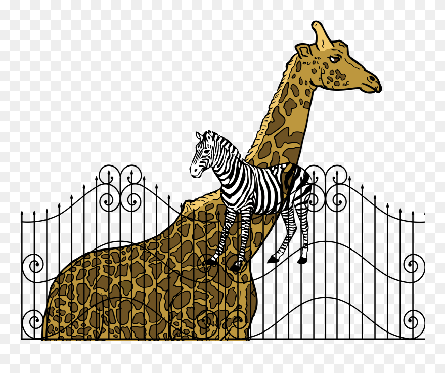 Clip Art - Png Download