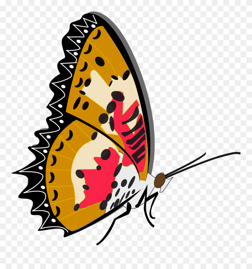 Mother And Baby Butterfly Insect Clipart