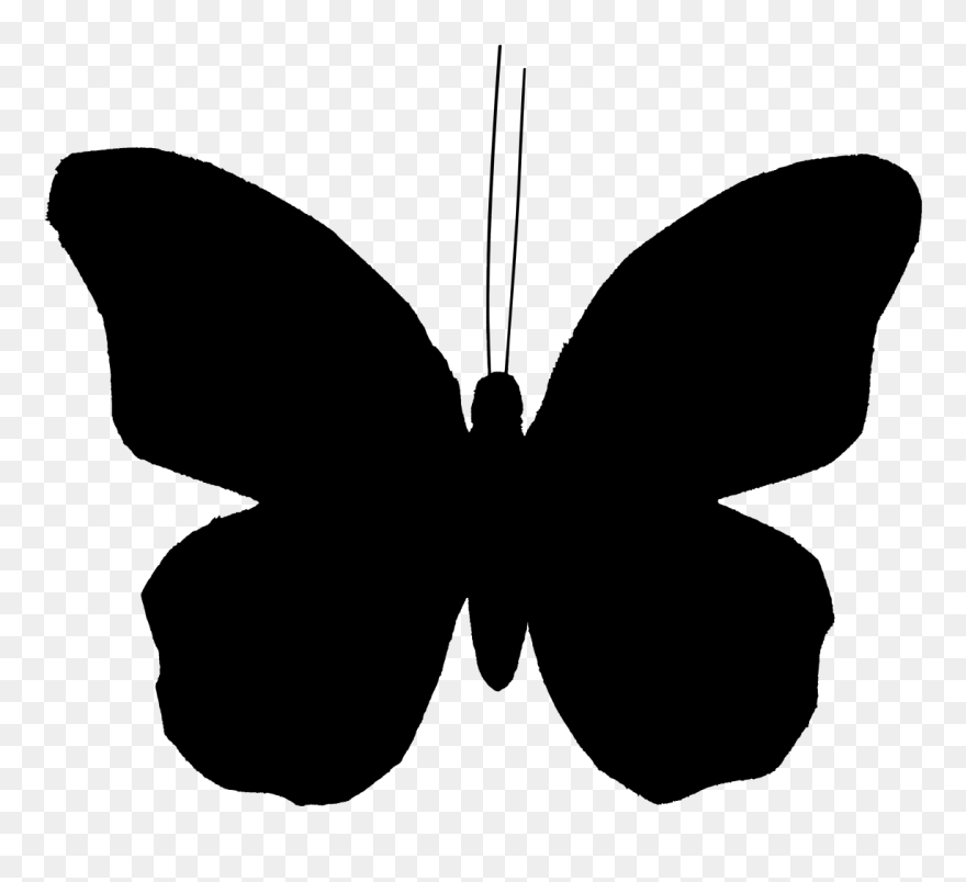 Clip Art Butterfly Vector Graphics Illustration Image - Butterfly Clipart Silhouette - Png Download