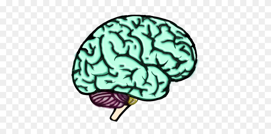 Eric Grossi Neurocirurgião Bh Clipart