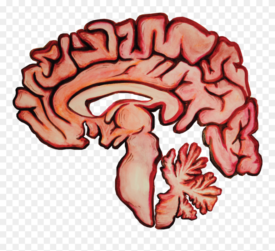 Illustration Clipart