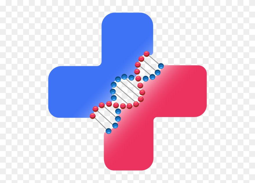 Clip Art - Png Download