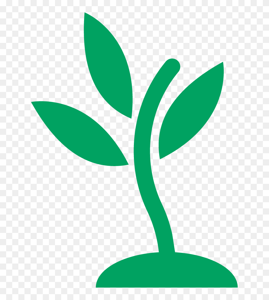 About North Suburban Mennonite - Seedling Clip Art - Png Download