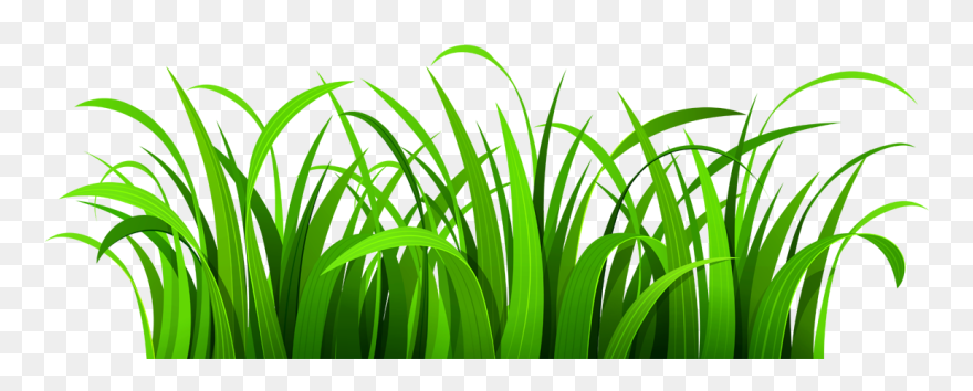 Nice Green And Beautiful Lawn Clipart Vector Transparent - Clipart Transparent Background Grass - Png Download