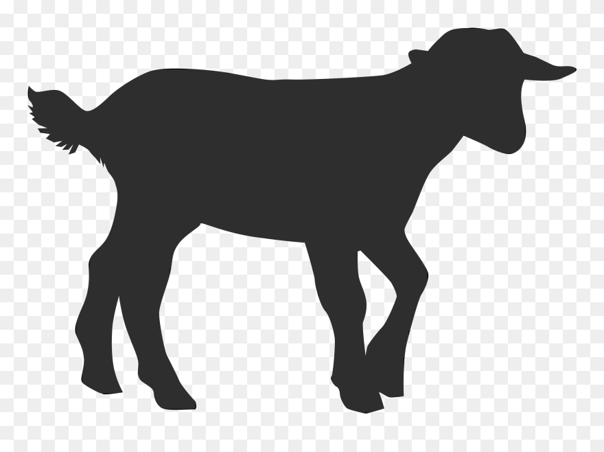 Hoodie Sheep German Shorthaired Pointer Goat - Hoodie Clipart