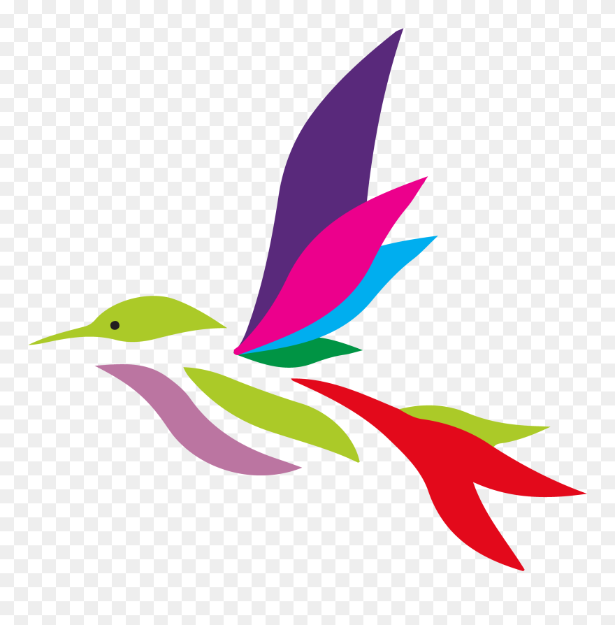 Hummingbird Clipart
