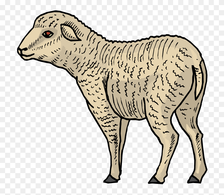 Bleat Definition Clipart