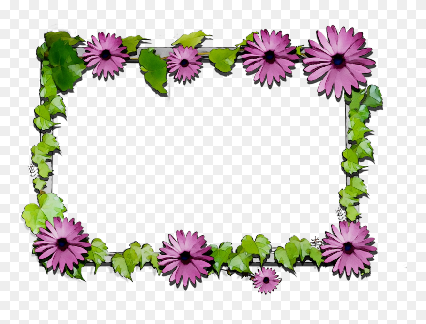 Transparent Free Clipart Flowers - Chrysanthemum - Png Download