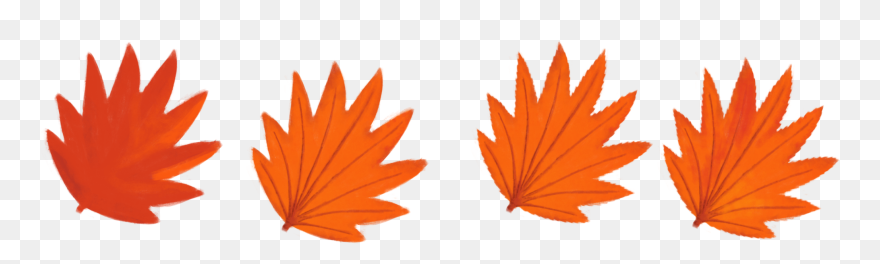 Maple Leaf Clipart