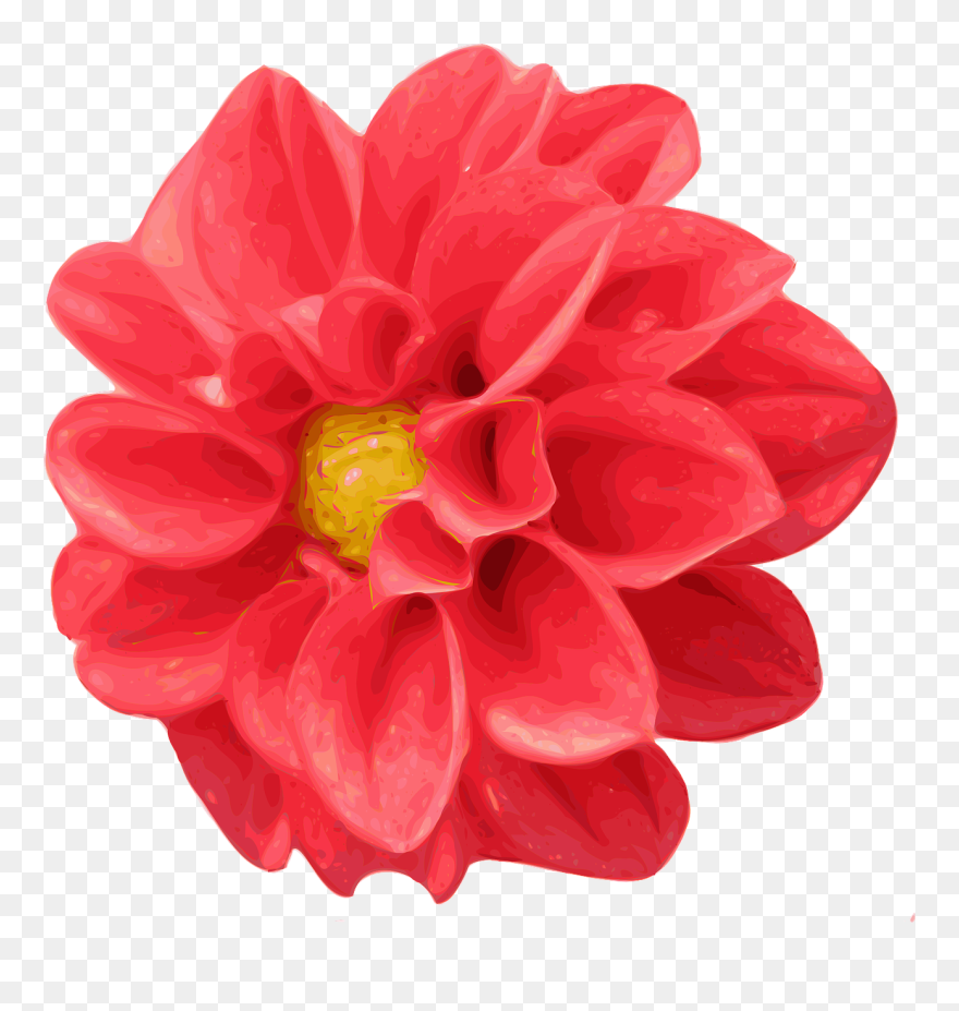 Realistic Flower Clip Art - Png Download