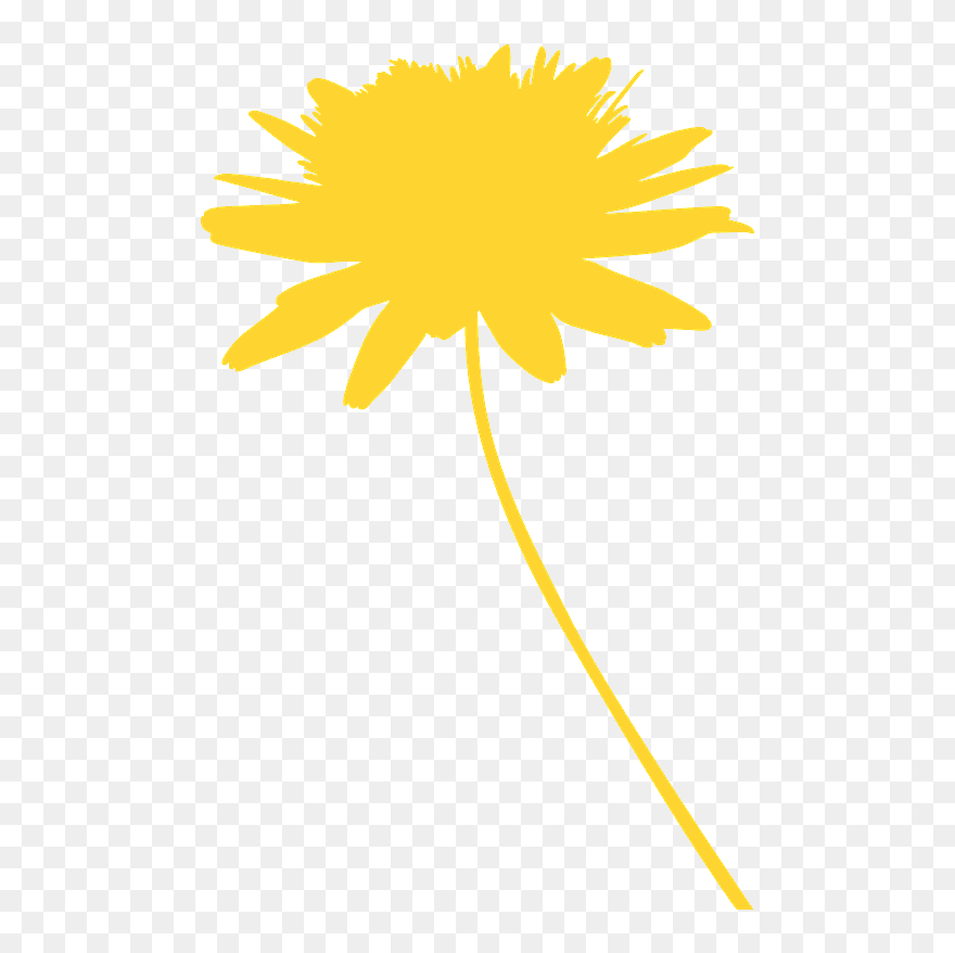 Sunflower Clipart