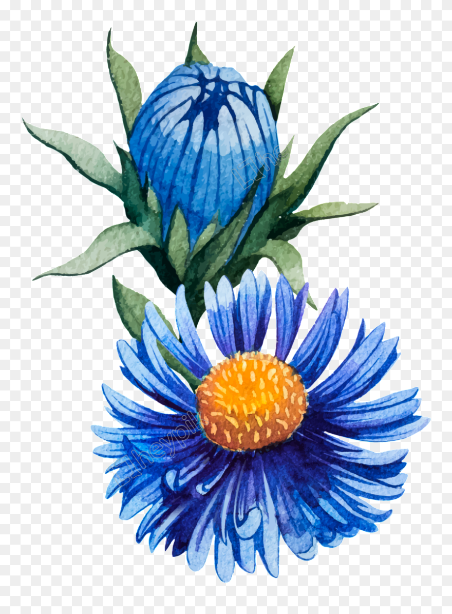 Floral Encouragement - Chrysanthemum Clipart