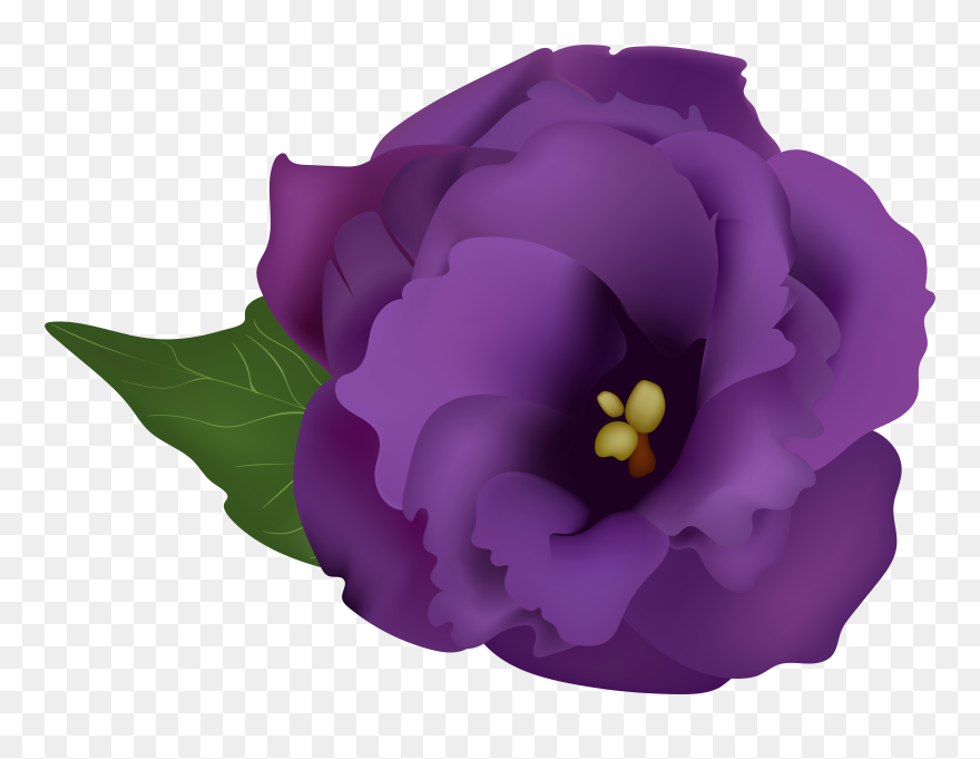 Purple Flowerpng Transparent Clip Art Image - Png Purple Flowers Drawing