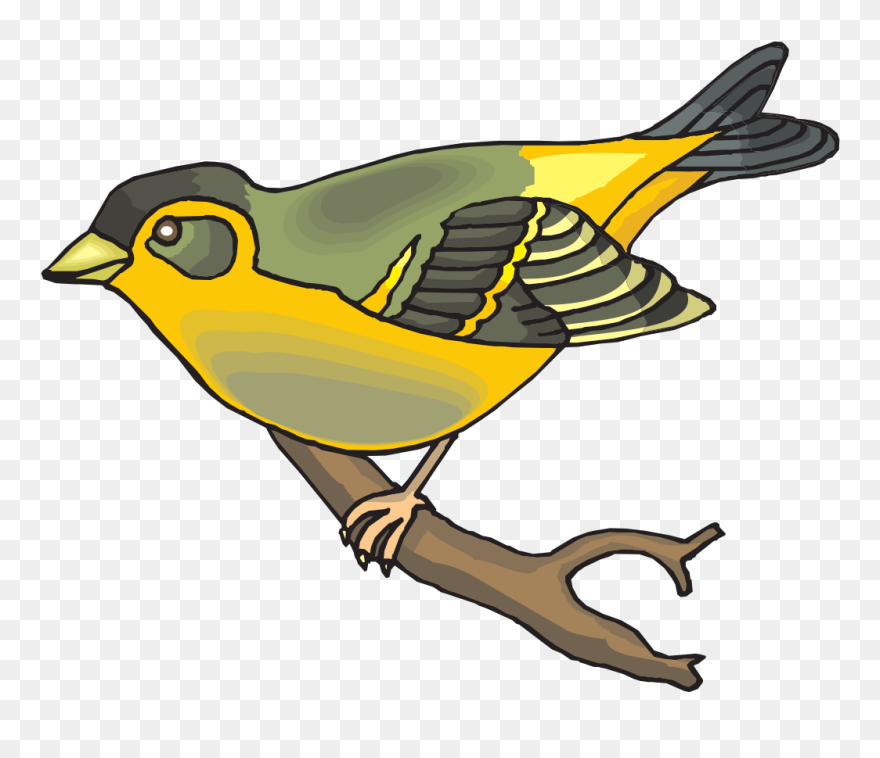 Goldfinch Svg Clip Arts - Goldfinch Clip Art - Png Download