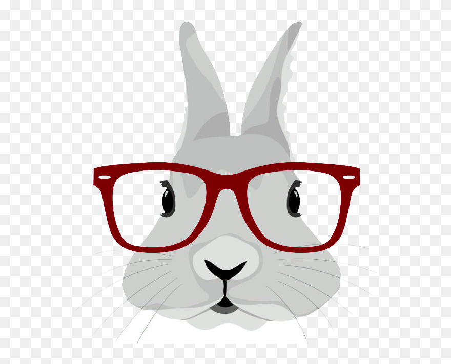 Wearing Gift T-shirt Hipster Rabbit Easter Bunny Clipart - Rabbit Wearing Cartoon Glasses - Png Download