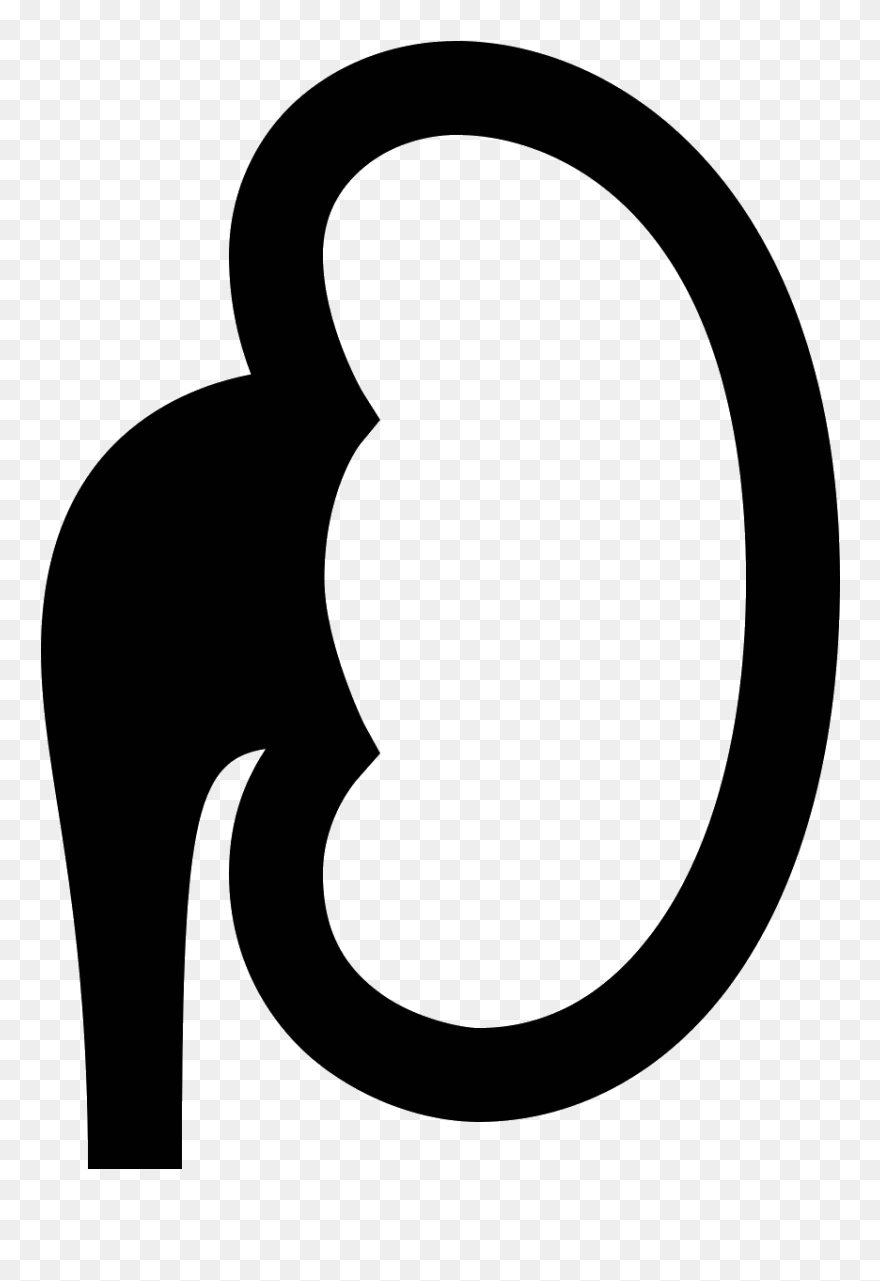 Kidney Icon - Circle Clipart