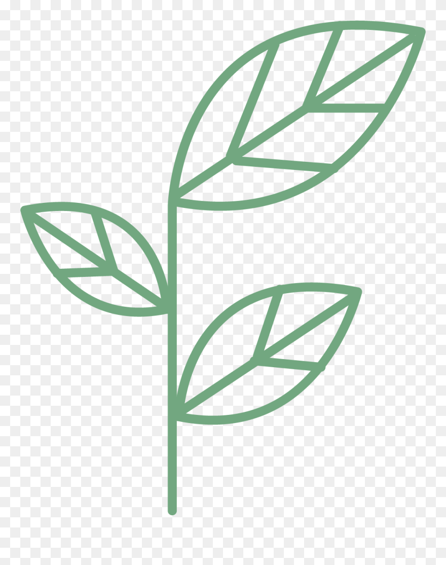 Clip Art - Png Download