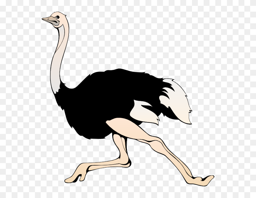 Ostrich Clipart Circus - Ostrich Clip Art - Png Download