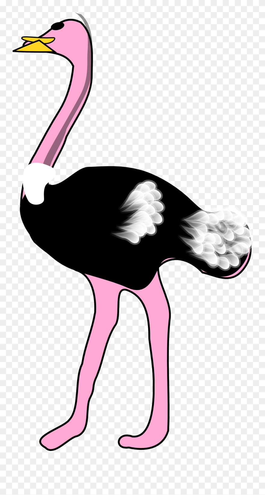 Ostrich Cliparts - Png Download