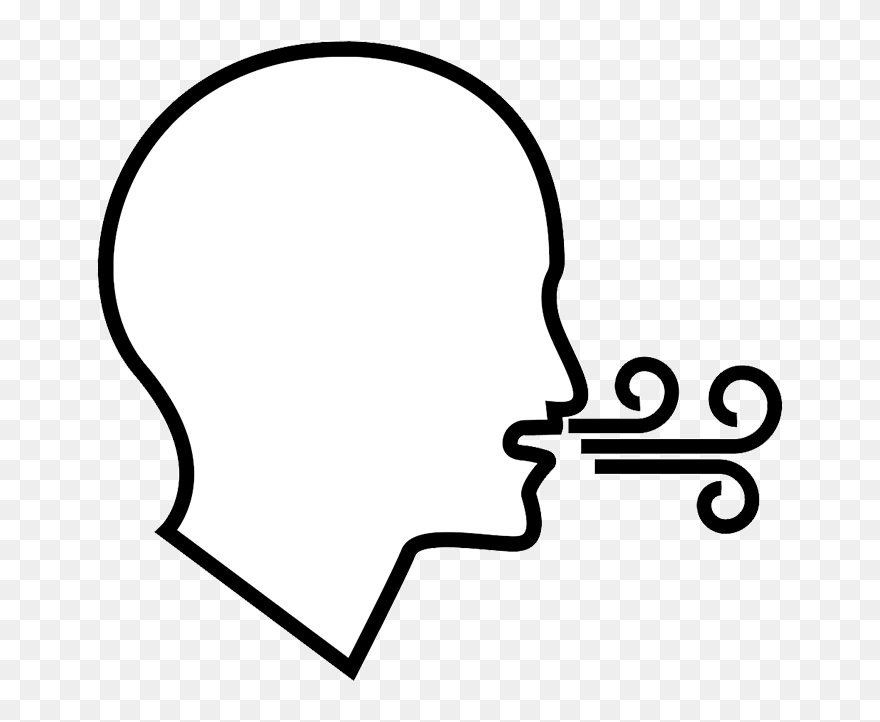 Clip Art - Png Download