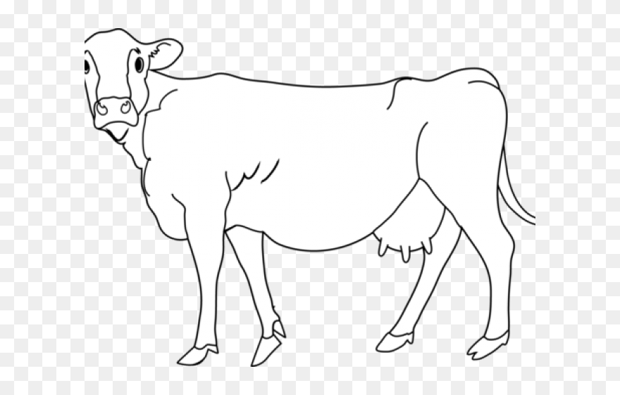 Cow Images Clipart - Dairy Cow - Png Download