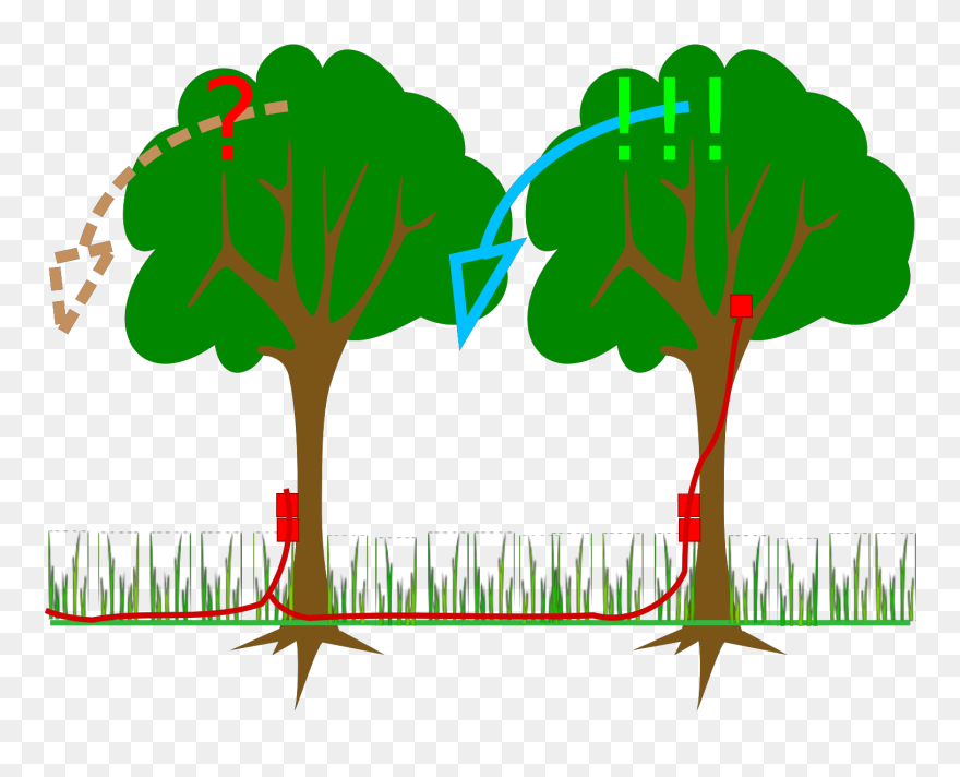 Clip Art - Png Download