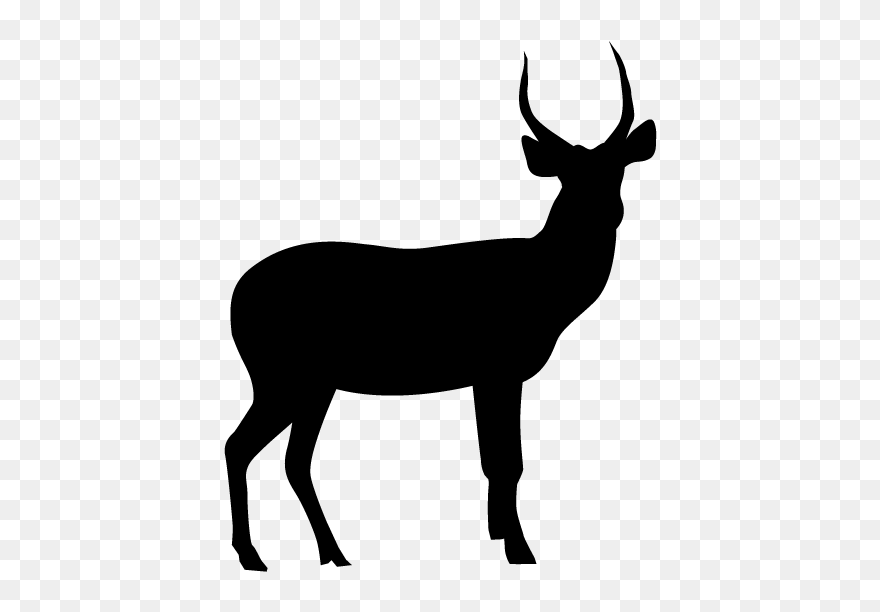 Transparent Stag Silhouette Clipart