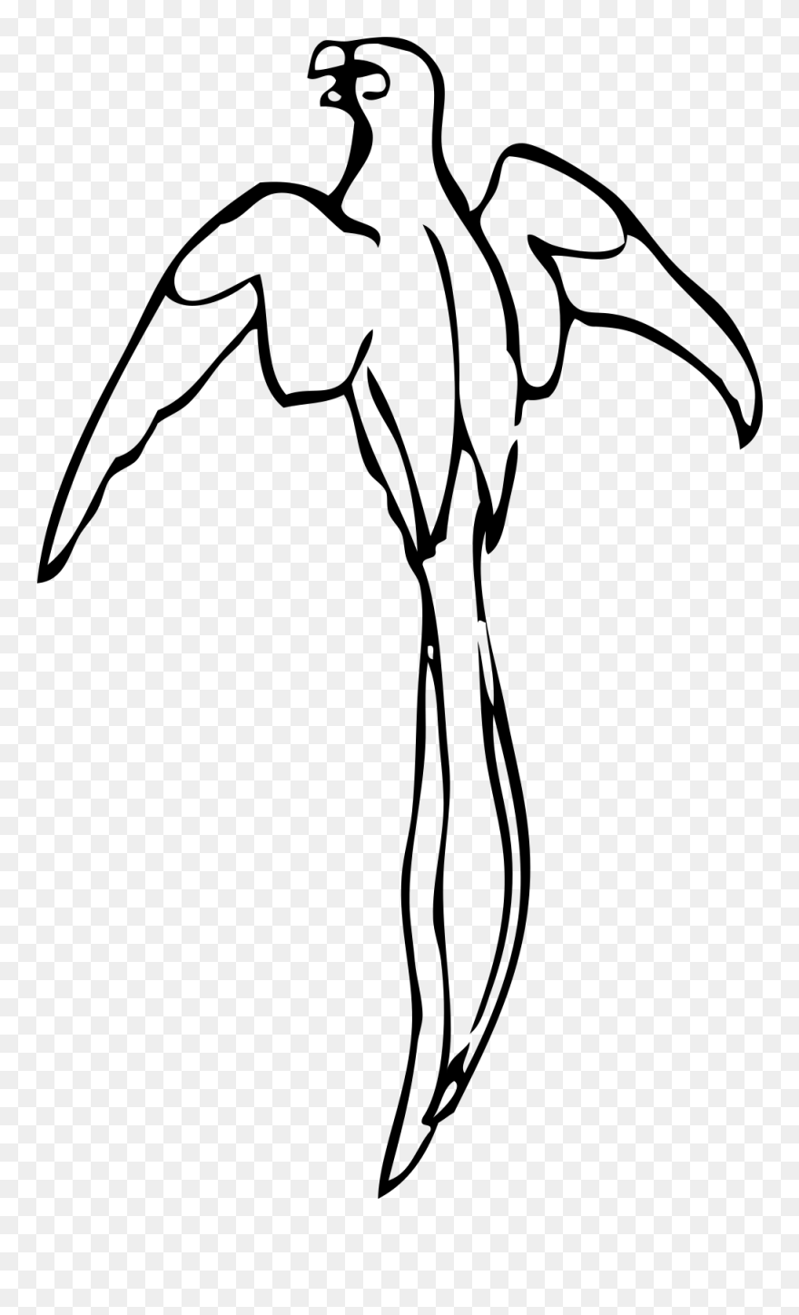 Outline Of A Parrot Clipart