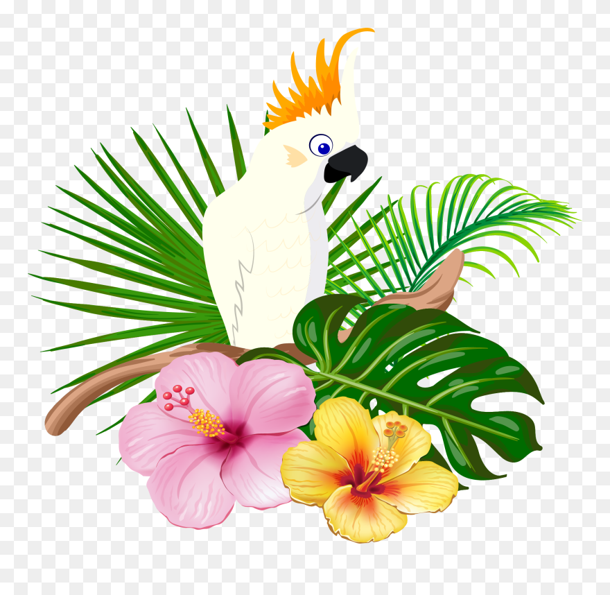 Parrot Clipart Bird Hawaiian - Hawaiian Bird Png Transparent Png