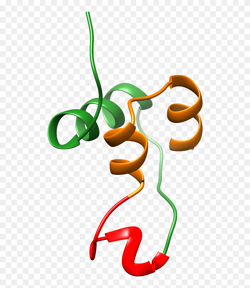 Illustration Clipart