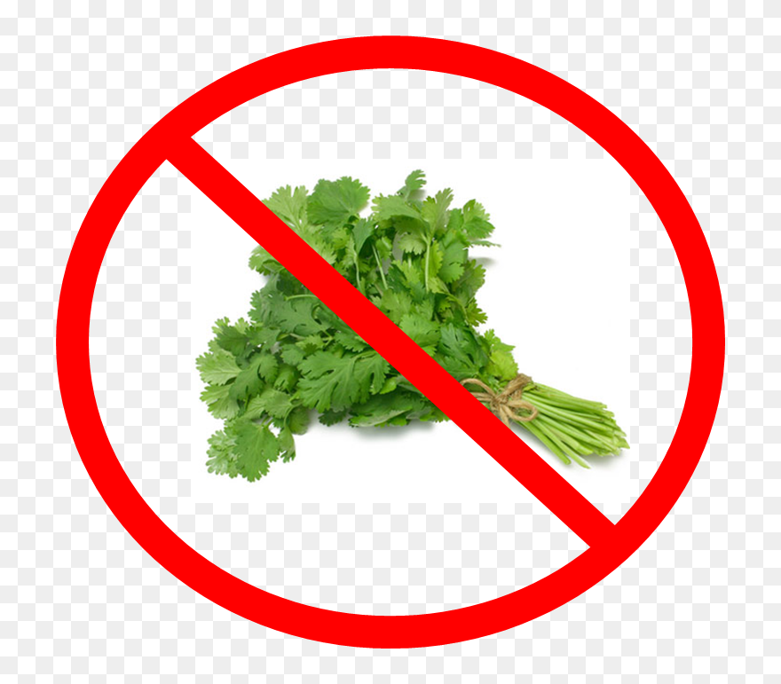 Say No To Coriander Clipart