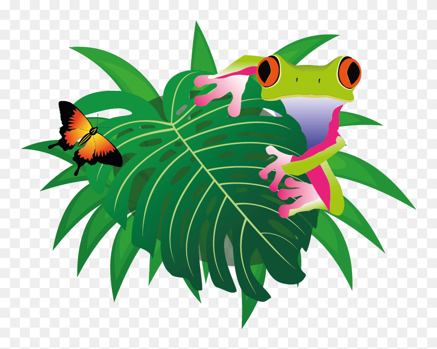 The Jungle Soft Play - Cartoon Clipart